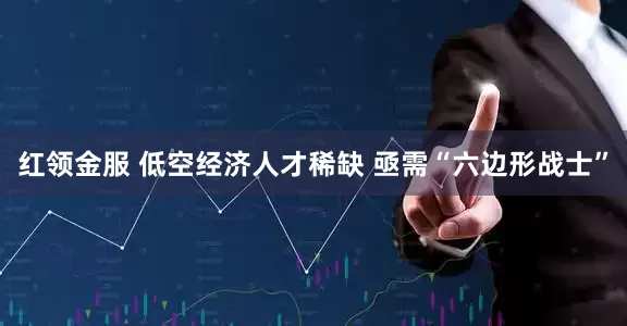 红领金服 低空经济人才稀缺 亟需“六边形战士”
