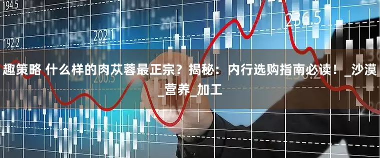 趣策略 什么样的肉苁蓉最正宗？揭秘：内行选购指南必读！_沙漠_营养_加工