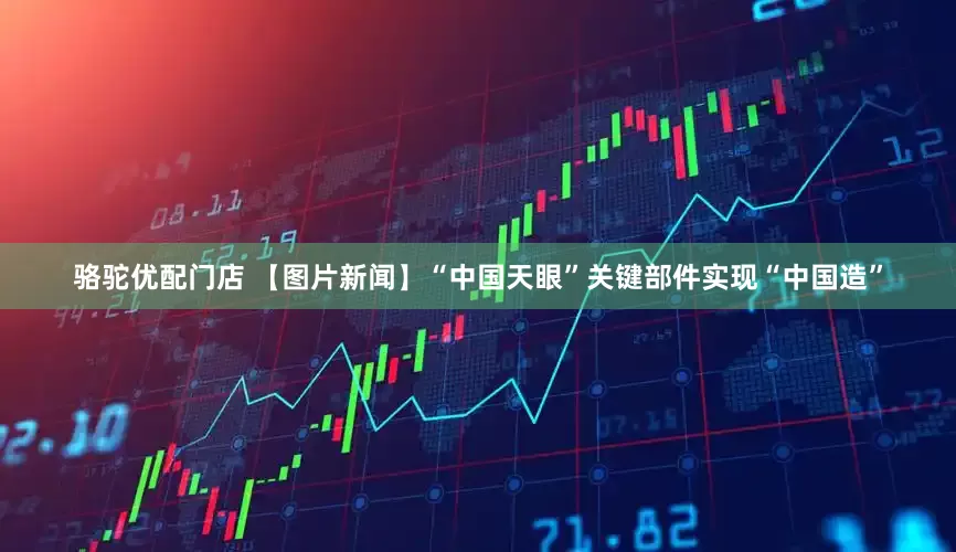 骆驼优配门店 【图片新闻】“中国天眼”关键部件实现“中国造”
